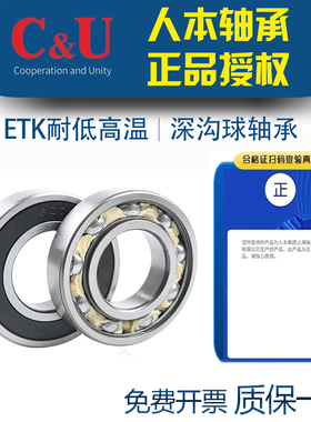 人本正品耐高温低温ETK高速轴承6006 6007 6008 6009 6010 6011