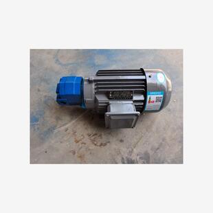 B40 B55摆线齿轮油泵电机组 B63JZ冷镦机齿轮泵现货 新款