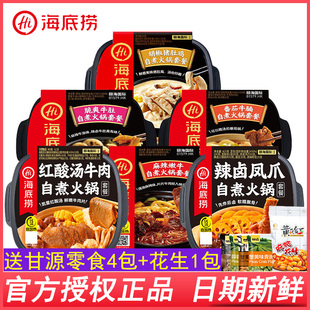 海底捞自热火锅自煮小火锅牛肚番茄牛腩麻辣嫩牛胡椒猪肚鸡即食