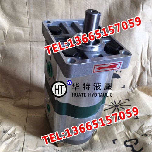 中高压双联齿轮油泵CBN-F310/F310CBN-F316/F320/F325/F306/F304