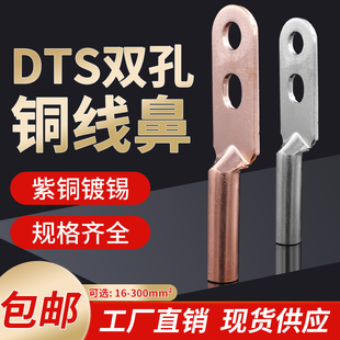 双孔接线端子铜铝过渡接头铜鼻子铜线耳铜接头DTS-25/35/50/70/95