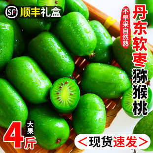 软枣子丹东软枣猕猴桃东北野生小猕猴桃新鲜水果奇异果莓软枣圆枣