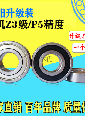 洛阳东培WUZ电机专用轴承6000 6001 6002 6003 6004 6005 6006 RZ