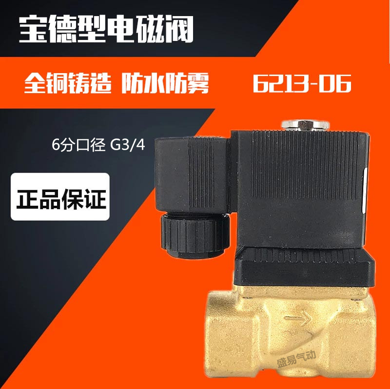 6213-06 6分宝德电磁阀水阀 气阀 油阀 2231020 AC220V 24V SLGPC