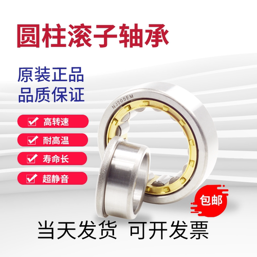 圆柱滚子轴承NJ2305 2306 2307 2308 2309 2310 2311 2312 2313EM