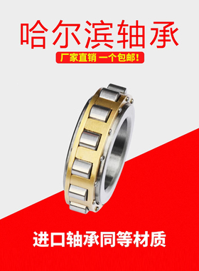 哈尔滨鲁泰轴承 RN204M  RN205M RN206M RN207M  RN208M 替代进口