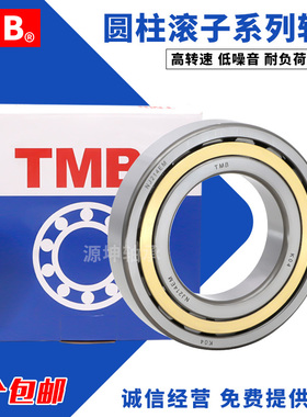 浙江天马TMB圆柱滚子轴承RN RNU NUP232 234 236 238 240 244EM