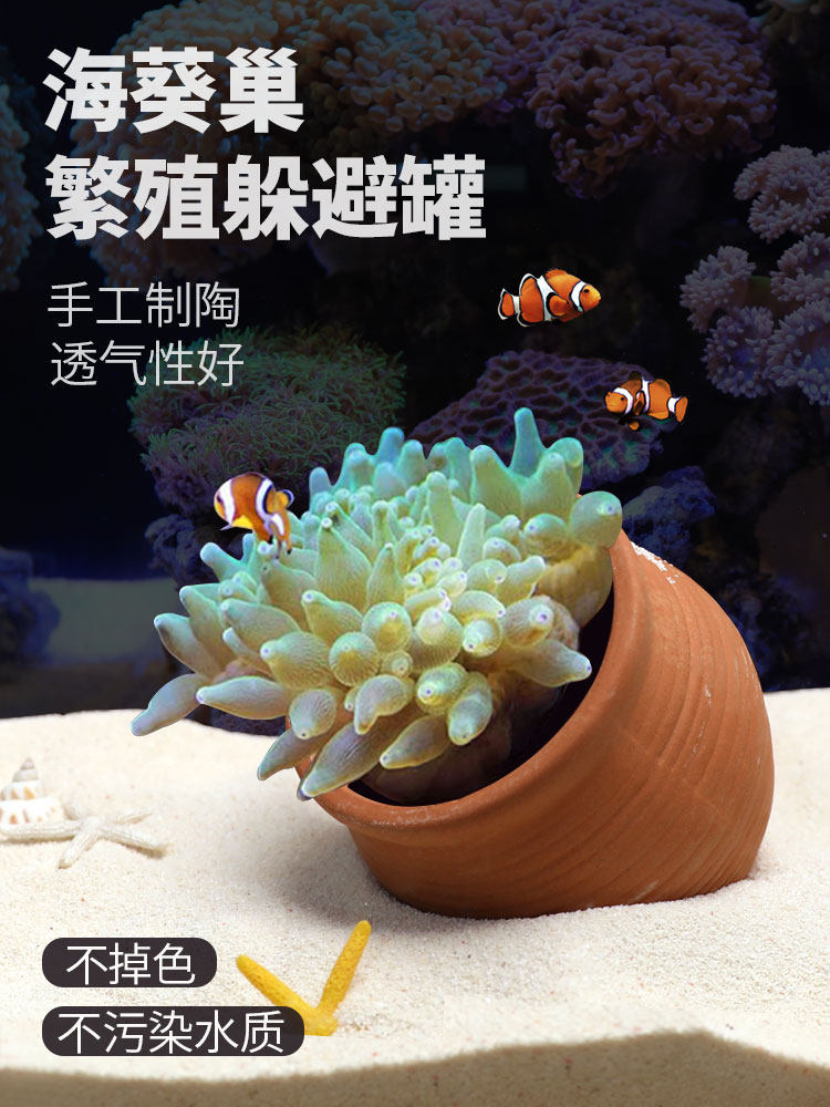 海葵窝巢奶嘴地毯屋杯防图片