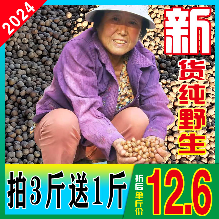 2024新货野生榛子铁岭开原东北特产新鲜手拍开口小果炒熟水漏包邮