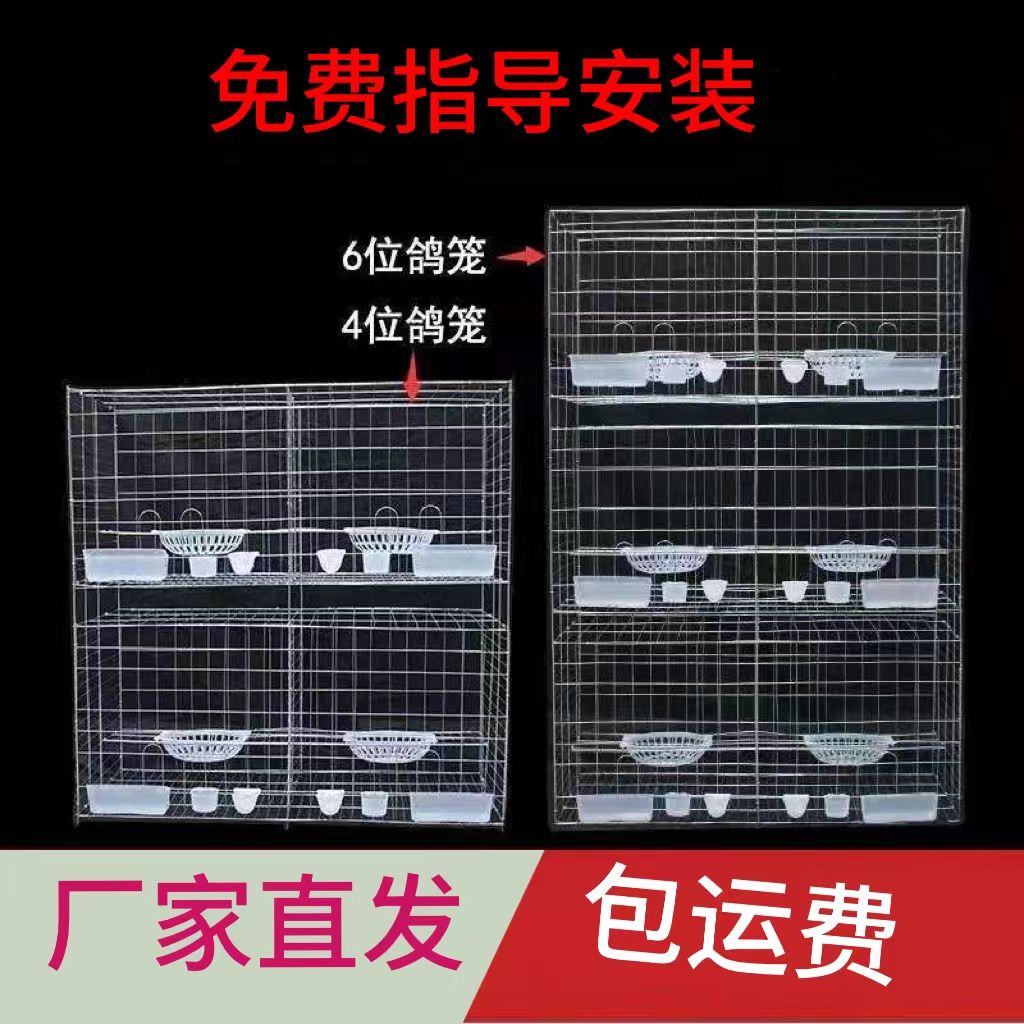 鸽子笼配对笼养殖繁殖肉鸽笼室外家用12位种鸽配对笼双层鸽子笼