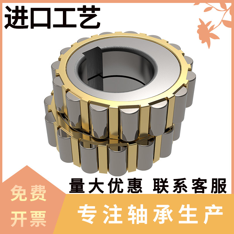 天马轴承RN205 RN206 RN307 RN309 312 219 222 M 减速机偏心轴承