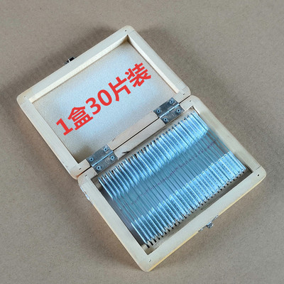 浪花牌切片顶芽纵生物显