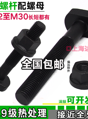 10.9级加硬T型槽T形螺丝螺杆螺栓压板螺丝近全牙M12M16M18M20M24