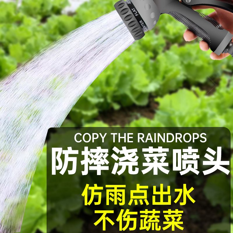 德国进口充电式抽水泵菜