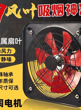 德国进口强力排风扇油烟