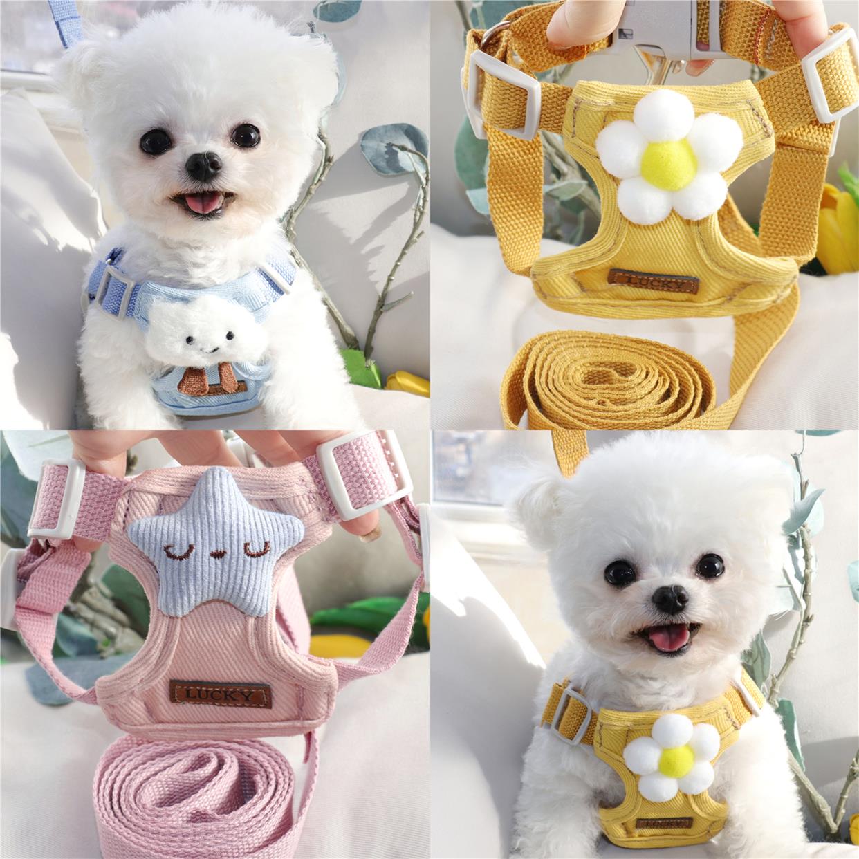 小狗狗牵引绳背心式遛狗绳子泰迪比熊小型犬胸背带外出狗链子宠物
