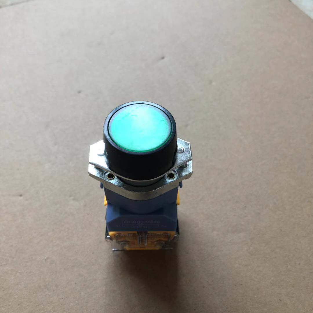 带灯按钮绿色平头自复位