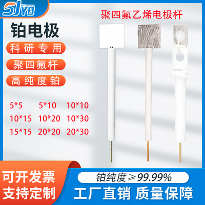 铂电极10*10*0.1mm铂片电极 纯度99.99铂电极 对电极 辅助电极