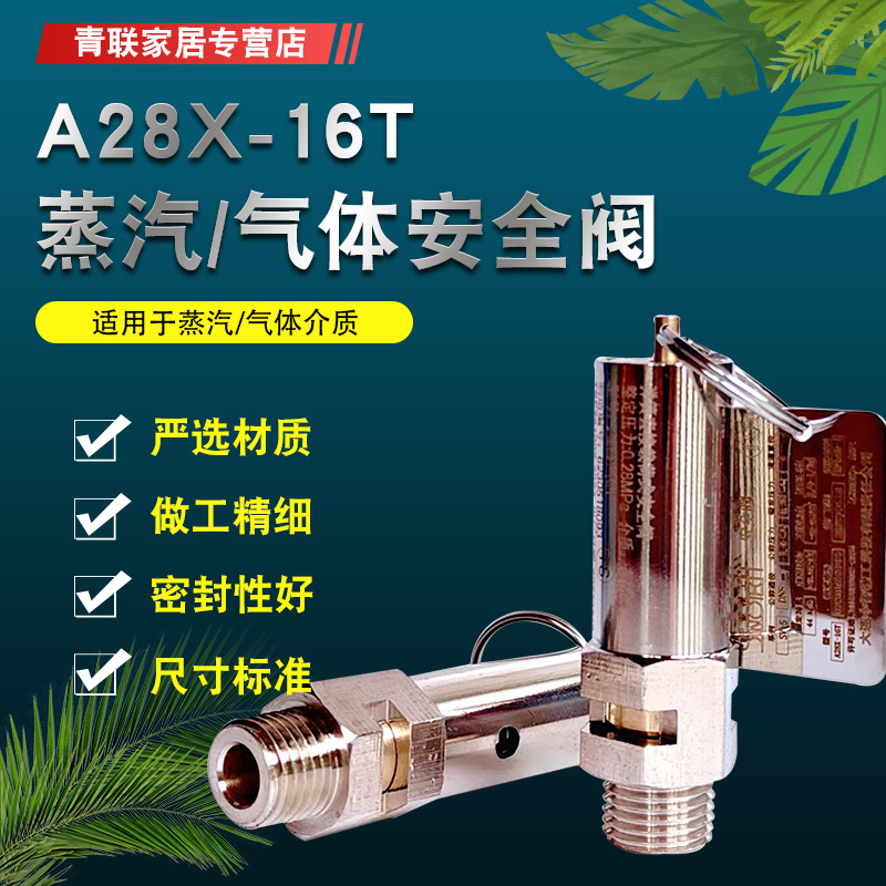 高温蒸气全启式安阀排放