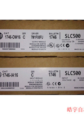 议价1746-IA16 Rockwell  PLC SLC500 505 模块 1746IA16