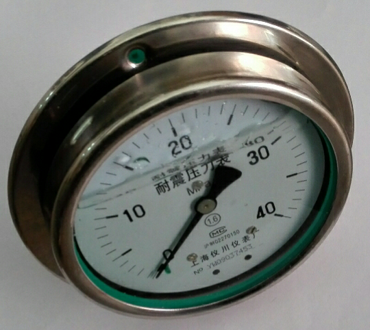 全不锈钢轴向带边耐震压