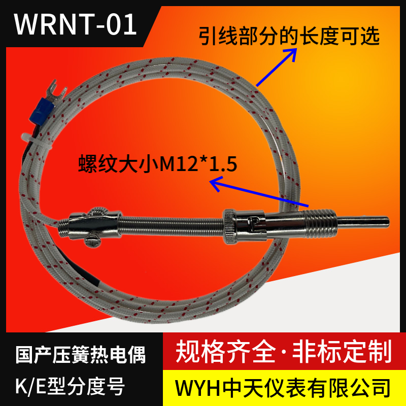 压簧偶WRNT-01广州中天仪表WYH厂家直销压簧式弹簧热电偶WRET-01