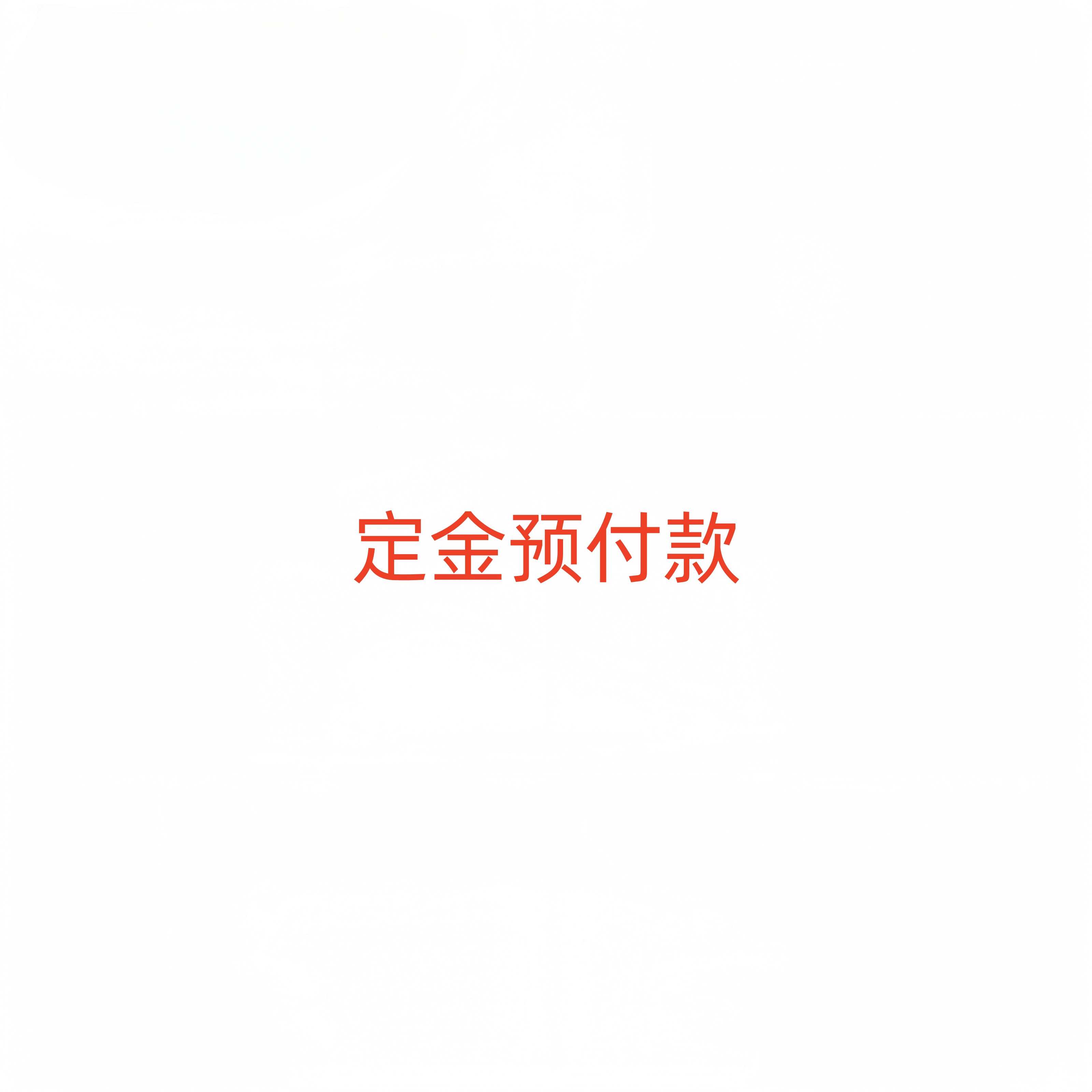 定金预付款（定制品专用链接）