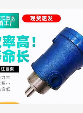 全新启东轴向柱塞泵液压高压2.5 10 25 63 80YCY 160 250MCY1包邮