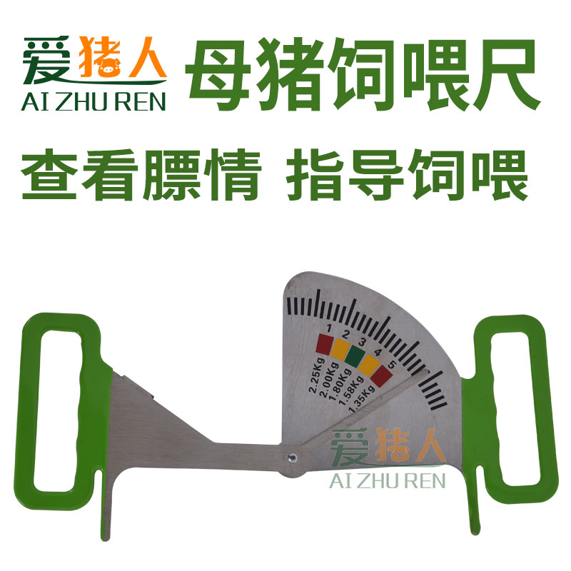 母猪饲喂尺用膘情测定管