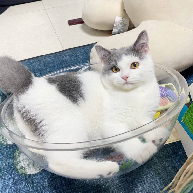 定制亚克力猫窝透明大球半球罩太空舱防尘罩灯罩圆球展示拍照道具,3C数码配件,USB多功能数码宝,淘宝优惠券,粉丝福利购,淘宝优惠卷