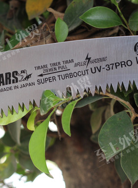 744-果树修枝锯伐木锯手锯日本进口爱丽斯ARS UV-37PRO园林工具护