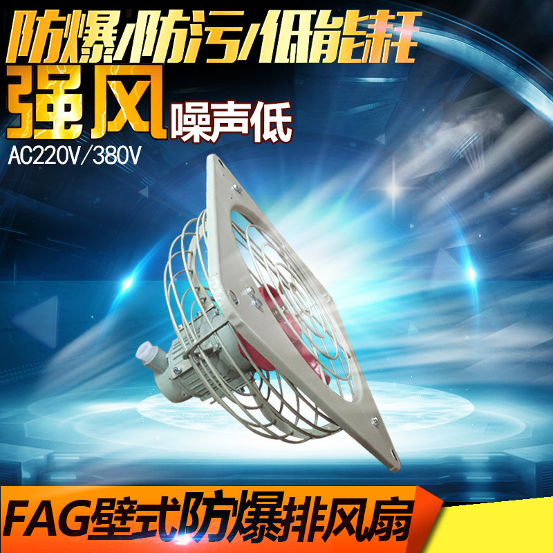 防爆风机/防爆排风扇/防爆换气扇/FAG-300/400/防爆排风机铜线