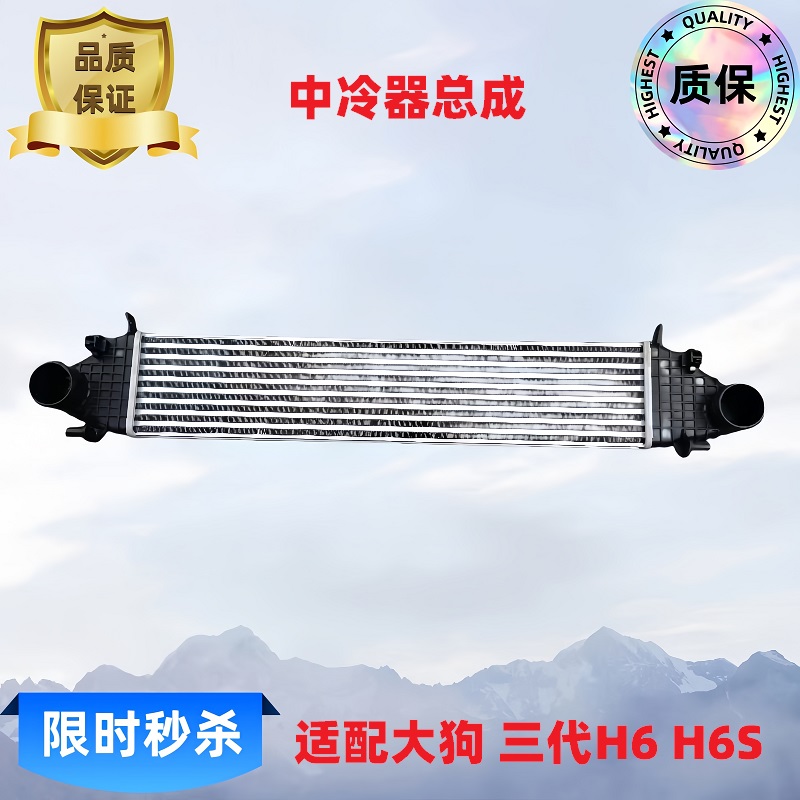 长城哈弗坦克风骏中冷器