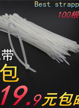 4*200mm白色塑料自锁式尼龙扎带封条 固定座扣束带线捆线电线家用