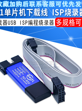 LC-01 51 AVR 编程器 ISP下载器 USBASP下载器