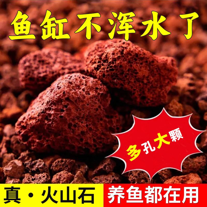 大块免洗火山石颗粒培菌