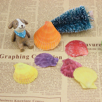 天然彩色海贝壳鱼缸水族