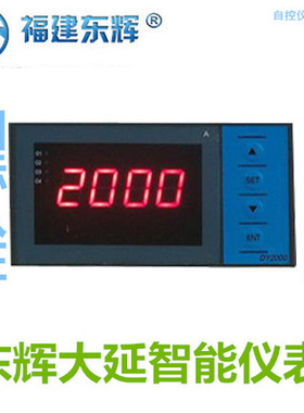 东辉仪表DY21Z0P DY21Z6P DY29Z2 DY21Z2-Pt100 DY29Z6P DY29Z0P