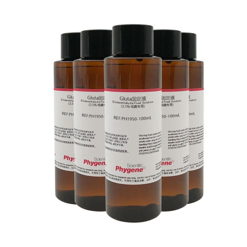 gluta固定液-电镜专用 戊二醛固定液 2.5% 4% [ph1950 phygene]