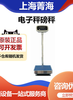 上海菁海YP100KN大称量电子天平落地式电子秤磅秤100kg/1g