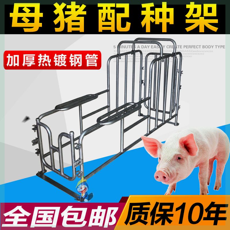 小母猪配种架用采精支公