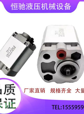 CBT1-F206.8 CBT1-F202.1 CBT1-F201.2 CBT1-F201.6 齿轮 油泵