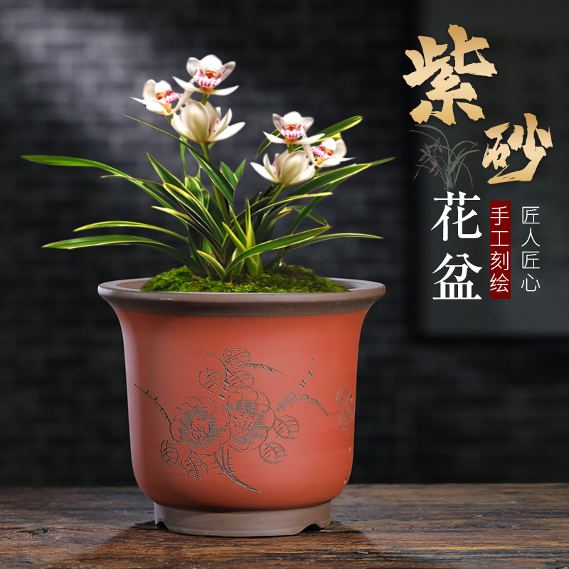 紫砂花盆兰特大号室内阳