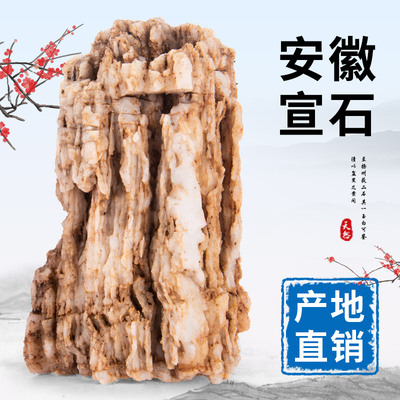 鱼缸造景石安徽宣草水陆