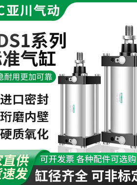 SMC型CS1B/CDS1B125-50-100-200-300-350-400-500-1000标准气缸