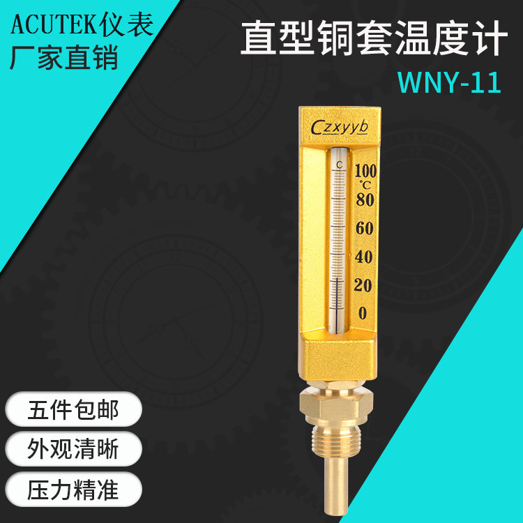 工业温度计 V型船用铜套温度计 WNY-11  100度  L=60mm   G1/2