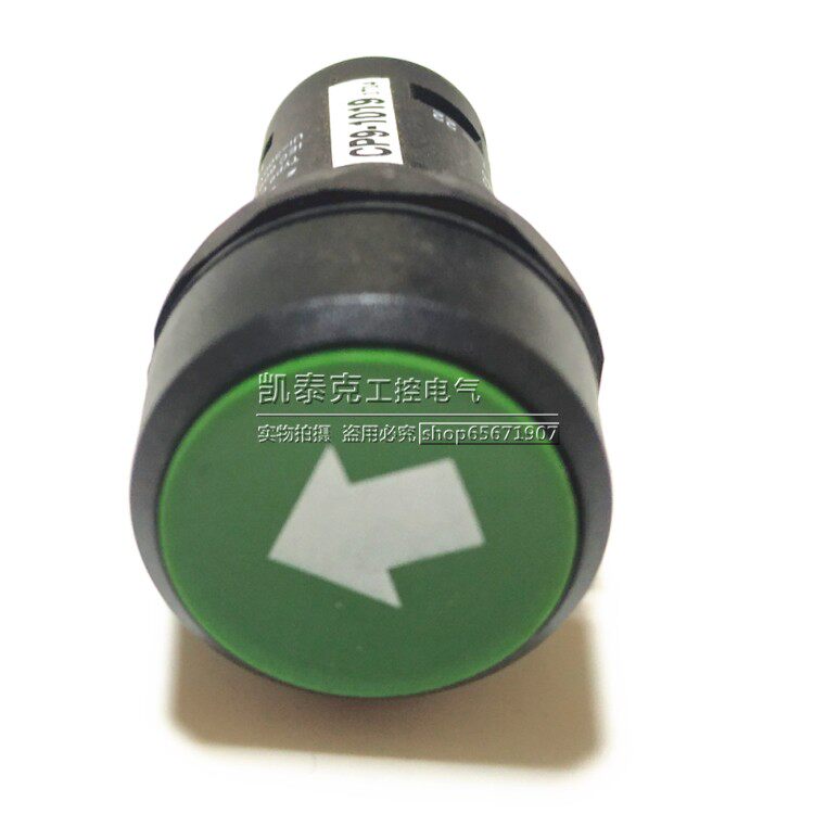 原装正品ABB绿色白箭头功能符号自复位启动按钮开关 CP9-1019