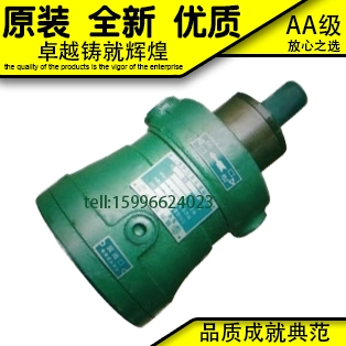 2.5MCY 5MCY 10MCY 25MCY 80MCY 63MCY 160MCY14-1B轴向柱塞泵40