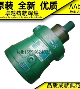 2.5MCY 5MCY 10MCY 25MCY 80MCY 63MCY 160MCY14-1B轴向柱塞泵40