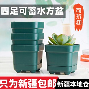 新疆包邮多肉植物方盆塑料四足地气盆 蓄水花盆 加厚绿植盆带托盘